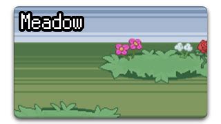 meadow biome pokerogue.